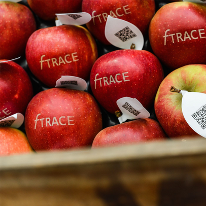 fTrace - Fotografie von Äpfeln (für Pressemeldung)