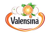 Logo VALENSINA GmbH