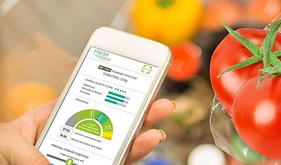 Foto einer Hand mit dem Smartphone und der geöffneten Fresh Analytics App im Supermarkt