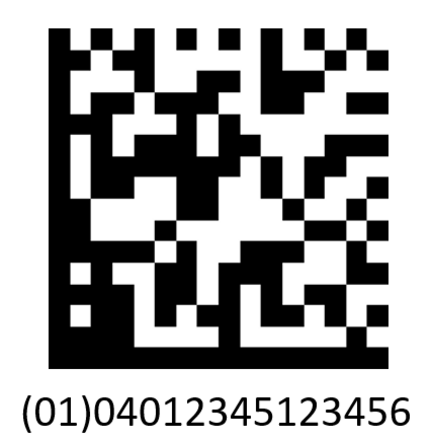 Abbildung eines GS1 DataMatrix