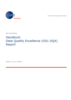 Handbuch Data Quality Excellence (GS1 DQX) Report V. 1.1