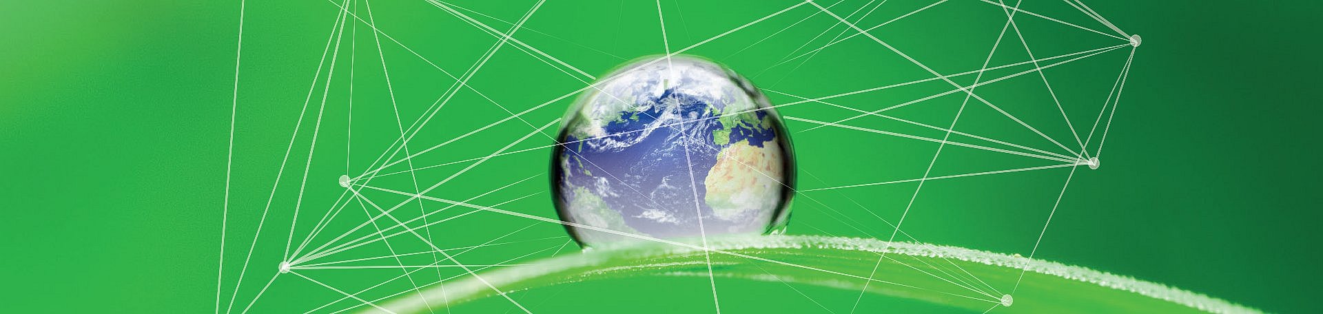CSRD Keyvisual zeigt Wassertropen auf einem Blatt, in dem die Weltkugel zu sehen ist. Darum spannt sich ein Netz, welches den Datenaustausch widerspiegelt