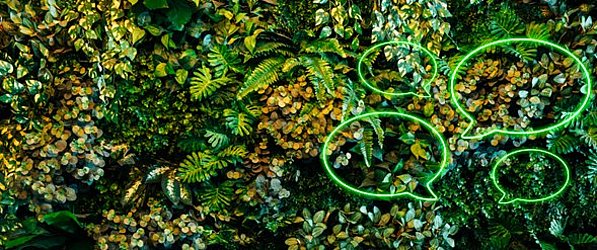 EmpCo und Nachhaltigkeitskommunikation wird über das Bild eines Waldes von oben mit Sprechblasen dargestellt