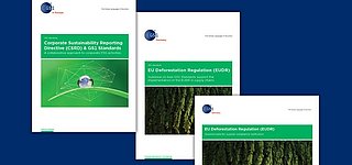 Veröffentlichungen aus dem Programm Data for Sustainability