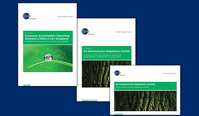 Veröffentlichungen aus dem Programm Data for Sustainability