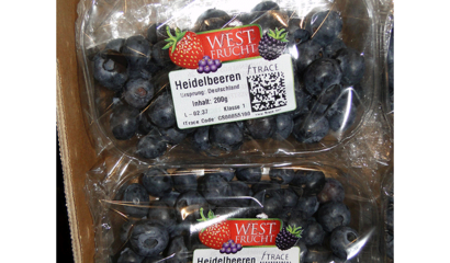 fTRACE - Fotografie von abgepackten Heidelbeeren