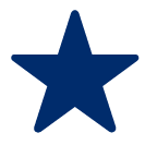 Icon Star symbolisiert das vereinfachte Warenhandling auf Basis einer EAN Nummer