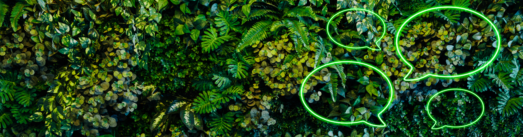 EmpCo und Nachhaltigkeitskommunikation wird über das Bild eines Waldes von oben mit Sprechblasen dargestellt